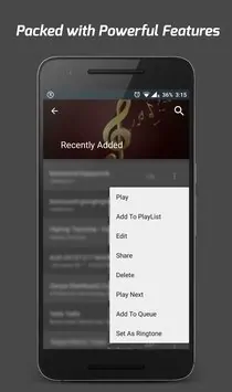 Pi Music Player FULL APK Download For Free (2)