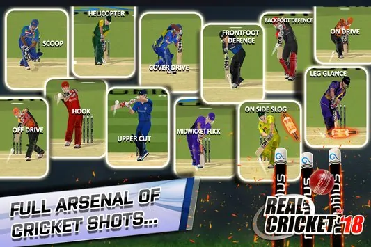Real Cricket 18 Mod Apk Download (7)