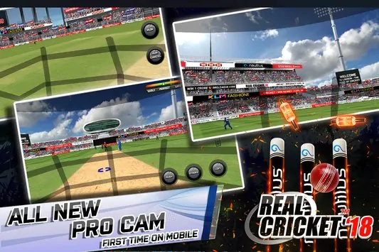 Real Cricket 18 Mod Apk Download (8)