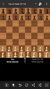 Hawk Chess Apk Android Game Download Free (1)